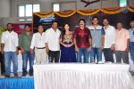 Dictator Movie Opening 02 - 30 of 151