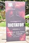 Dictator Movie Opening 01 - 27 of 84