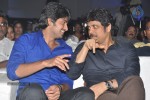 Dikkulu Chudaku Ramayya Audio Launch 02 - 110 of 223