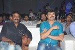 Dikkulu Chudaku Ramayya Audio Launch 02 - 176 of 223