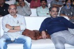 Dikkulu Chudaku Ramayya Audio Launch 03 - 127 of 282