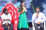 Dikkulu Chudaku Ramayya Audio Launch 03 - 229 of 282