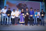 Dikkulu Chudaku Ramayya Audio Launch 03 - 265 of 282