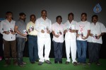 Dil Se Movie Movie Audio Launch - 29 of 32