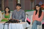 Dillunnodu Movie Press Meet - 19 of 32