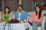 Dillunnodu Movie Press Meet - 23 of 32