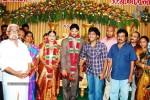 Director Chimbudevan Wedding Photos - 10 of 32