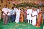 Director Chimbudevan Wedding Photos - 19 of 32