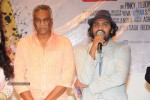 Director Movie Audio Launch - 26 of 111