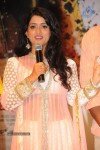 Director Movie Audio Launch - 35 of 111
