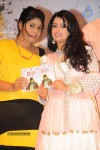 Director Movie Audio Launch - 31 of 111