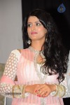 Director Movie Audio Launch - 33 of 111