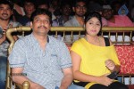 Director Movie Audio Launch - 58 of 111