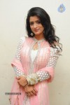 Director Movie Audio Launch - 100 of 111