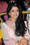 Director Movie Audio Launch - 104 of 111