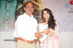 Director Movie Audio Launch - 105 of 111