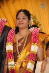 Director S.P.Hosimin Wedding Reception  - 56 of 76