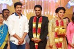 Director Vijay and Amala Paul Reception Photos - 52 of 65