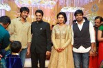 Director Vijay and Amala Paul Reception Photos - 61 of 65