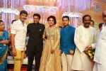 Director Vijay and Amala Paul Reception Photos - 27 of 65
