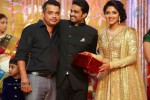 Director Vijay and Amala Paul Reception Photos - 37 of 65