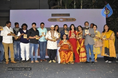 Divyamani Audio Launch - 28 of 30