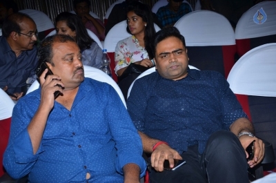 DJ Duvvada Jagannadham Theater Coverage Photos - 31 of 49