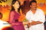 Don Seenu Movie Audio Launch Photos (First on Net ) - 31 of 80