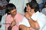 Don Seenu Movie Audio Launch Photos (First on Net ) - 70 of 80