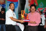 Don Seenu Movie Platinum Disc Function Photos - 27 of 41