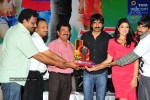 Don Seenu Movie Platinum Disc Function Photos - 28 of 41