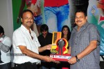 Don Seenu Movie Platinum Disc Function Photos - 31 of 41