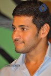 Dookudu Movie Success Meet (Set 2) - 34 of 77