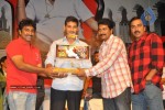 Dookudu Movie Success Meet (Set 2) - 64 of 77