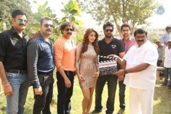 Dr Chakravarthy Movie Opening - 9 of 56