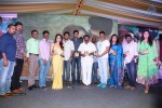 Dr Saleem Movie Audio Launch - 24 of 150