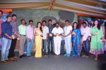 Dr Saleem Movie Audio Launch - 32 of 150