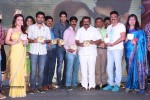 Dr Saleem Movie Audio Launch - 125 of 150