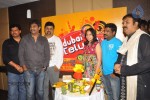 Dubai Telugu Radio Website Launch - 83 of 85