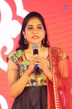 Ee Cinema Guarantee Hit Audio Launch - 17 of 41