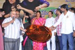 Ee Premalo Anni Ekkuve Audio Launch - 38 of 73