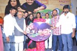 Ee Premalo Anni Ekkuve Audio Launch - 42 of 73