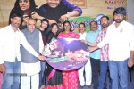 Ee Premalo Anni Ekkuve Audio Launch - 45 of 73