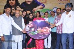 Ee Premalo Anni Ekkuve Audio Launch - 47 of 73