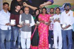 Ee Premalo Anni Ekkuve Audio Launch - 62 of 73