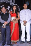Eka Veera Movie Audio Launch - 85 of 135