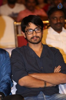 Ekkadiki Pothavu Chinnavada Audio Success Celebrations 1 - 16 of 72
