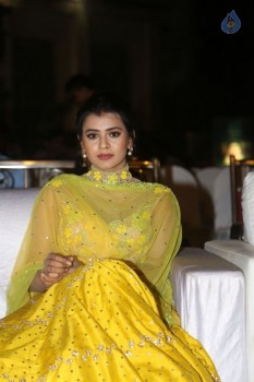Ekkadiki Pothavu Chinnavada Audio Success Celebrations 1 - 60 of 72