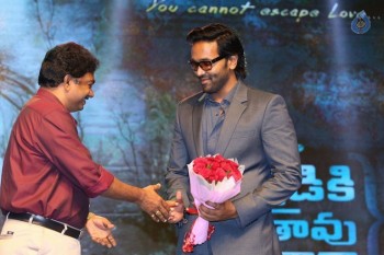 Ekkadiki Pothavu Chinnavada Audio Success Celebrations 1 - 61 of 72