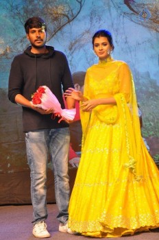 Ekkadiki Pothavu Chinnavada Audio Success Celebrations 2 - 39 of 77